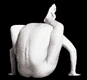 contortionist.gif