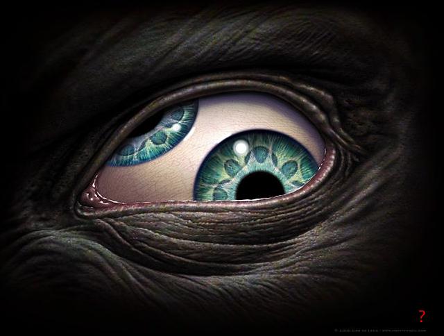 thirdeye.jpg